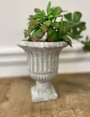 Cement Urn Planter