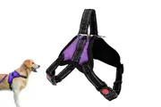 No Pull Dog Harness Anti Pull Adjustable Soft Padded Pet Harnes-Purple