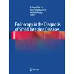 ENDOSCOPY IN THE DIAGNOSIS OF SMALL INTESTINE DISEASES