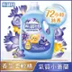 熊寶貝香氛柔軟護衣精氣質小蒼蘭 3.0L