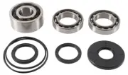 Front Differential Bearing and Seal Kit for Polaris RZR XP 1000?Turbo 2016