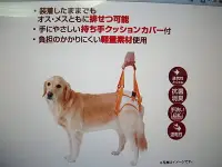 在飛比找Yahoo!奇摩拍賣優惠-浪漫滿屋 日本PETIO高齡犬戒護用(M號)