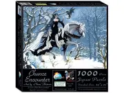 Chance Encounter 1000pc (SUN67621)