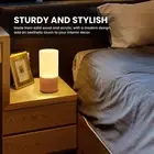 LED Table Lamp 3000K Warm Light Touch Control Stepless Dimming USB Charging P AU