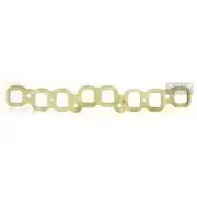 Platinum Extractor Gasket - HSM19