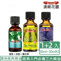 在飛比找momo購物網優惠-【Ausgarden 澳維花園】茶樹精油50ml+薰衣草精油