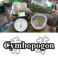 在飛比找蝦皮購物優惠-【Sizhi Herb (Taipei)】Dried Cym
