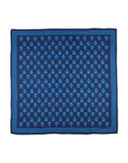 [MCQUEEN] MCQUEEN Scarves - Item 31001420
