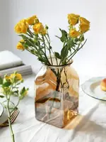 歐式玻璃大花瓶五彩色透明插花水培富貴竹百合綠蘿擺件簡約干花瓶