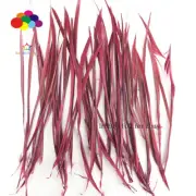 Goose Feathers 20-25cm 8-10 in Carefully Crafted Smooth Dyed Burgundy Biots Juju