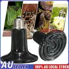 Infrared Ceramic Heat Lamp Bulb For Reptile Pet Chicken Brooder 220V