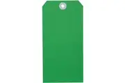 Avery 18130 Shipping Tag Size 8 160x80mm Green Box 1000