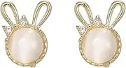[LAXTO] Earring Hoop,Nose Lip Rings,Stud Earrings,Womens Earrings, Fashion Earrings Jewelry Gifts for Women Earrings for Women Ear Stubs Carrot Bunny Shape Jewellery (Color : B, Size : One Size)