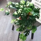 Decoration Office Desk Simulation Plants Green Plant Fake Plant Turtle Leaves