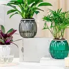 Plastic Hydroponic Plants Pot Self Watering Tabletop Vase