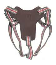Medium Reflective Step-in Dog Harness, Olive Green Red 20-50 lbs by Vibrant Life