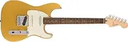 Squier by Fender Electric Guitar Paranormal Custom Nashville Stratocaster®, Laurel Fingerboard, Parchment Pickguard, Aztec Gold with Soft Case
