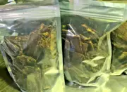 Beef Jerky (100% Australian) - Dog Treats, 500g Pack. 100% Natural, Slow-Dried.