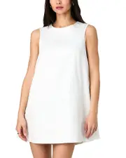 French Connection Pinstripe Sleeveless Shift Dress