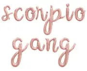 SCORPIO GANG Cursive Script Letter Balloon Banner - Birthday Party Decorations