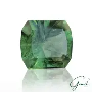 Certified 14.72 CT Natural Ludwigite Rutile Peridot Cushion Cut Loose Gemstone