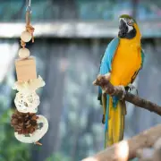 Natural Parrot Chew Bird Toys Parakeet Cage Shredding Cages