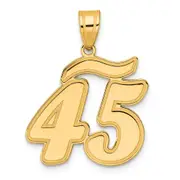 14k Yellow Gold Brushed Border Script Number 45 Pendant