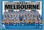 North Melbourne kangaroos team Photo,AFL football,swans, ,blues books, cats 2