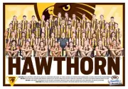 HAWTHORN HAWKS LAMINATED 2024 Afl football TEAM POSTER,GR8 feedbacks