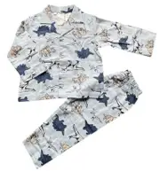 Boys Sizes 2-7 Blue Dinosaur Print Cotton Flannelette Long Set PJS Pyjamas (Me)