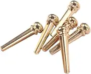 SWOOMEY 6pcs Copper String Nail Set Guitars Acoustic Guitar Bridge Pins Guitar Pins Guitar End Pin Acoustic Guitar Pegs Golden
