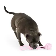 All Day Rope Ball Tug with Handle Dog Toy Pink