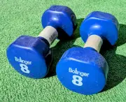 2 Blue Dumbbell Bollinger 8lb (3.62kg) Hand Dumbell Rubber Coat Weight Set NWT