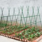 豆角黃瓜架子種菜陽臺爬藤支架花園藤蔓植物牽引架庭院葡萄架戶外