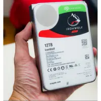 在飛比找蝦皮購物優惠-原價31000近全新 兩顆SEAGATE 12TB那嘶狼 I