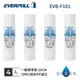 【EVERPOLL】EVB-F101 F101 10吋 1微米PP 1MPP 濾芯 濾心 標準 4入 通規 大山淨水