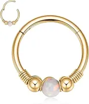 [AROWRO] Nose Ring Tragus Helix Conch Rook Daith Piercing Jewellery Septum Jewellery Cartilage Earring 316L Surgical Steel Nose Rings Hoop Septum Ring