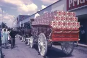Budweiser Clydesdales-35mm Color Slide April 1972