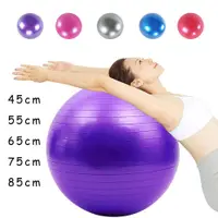 在飛比找蝦皮購物優惠-PVC Fitness Yoga Balance Ball健