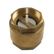 Brass Spring Check Valve Female BSP Thread Non Return - 3 Inch