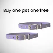 SMALL Waterproof Diggs Dog Collars Lilac Purple New w/ tags cats and dogs