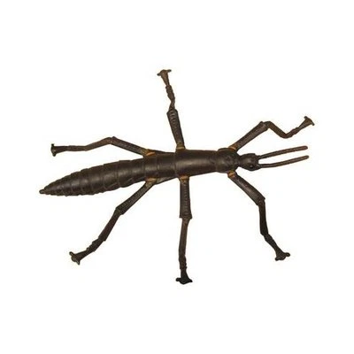 NEW Science Nature Australian Lord Howe Island Stick Insect Toy Model