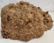 Australian Jarrah Burl Chunk with Live Edge | JB 101