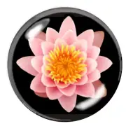 Lotus Paperweight Crystal Japan Paperweights