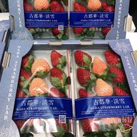 在飛比找蝦皮購物優惠-［隨菓-水果超市］免運費 日本🇯🇵古都華+淡雪草莓 雙色草莓