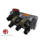 AFI Ignition Coil - C9071
