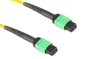 MPO Cable, 12-Strand, OS2, LSZH, UPC, Type B, Female Key Up to Female Key Up, 1