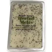 Swan Creek Candle Soy Drizzle Melt 4.75 Oz. - Burnt Caramel Latte