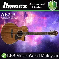 在飛比找蝦皮購物優惠-Ibanez AE245-NT AE Body Solid 