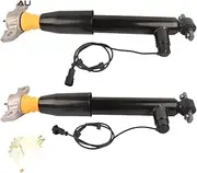 DG9Z18125A EG9Z18125B EG9Z18125B,EG9Z18125C Rear Shock Absorber Strut Assembly Compatible With Lincoln MKZ Electric 2013-2020(REAR RIGHT)